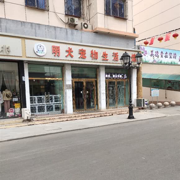 明犬宠物生活会馆:天津城区宝坻区宝坻区附近