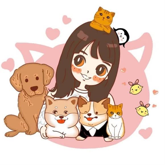 PET PET CAKE宠物披萨烘焙:深圳市龙华区梅林关附近