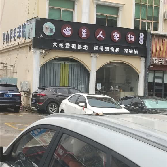 喵星人宠物生活馆:深圳市龙华区大浪附近