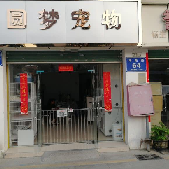 圆梦宠物:深圳市龙华区大浪附近