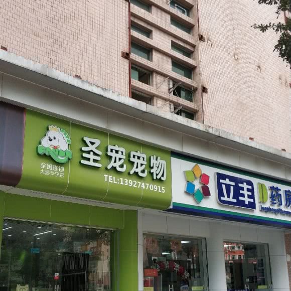 圣宠宠物(龙华大浪华宁路店):深圳市龙华区大浪附近