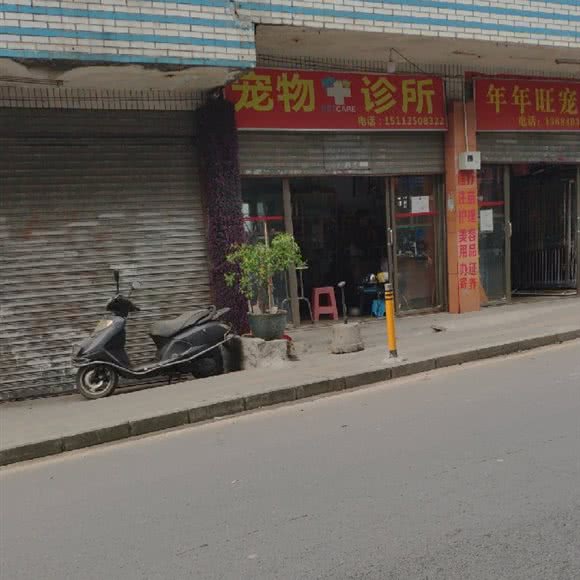 宠物美容诊所:深圳市龙华区大浪附近