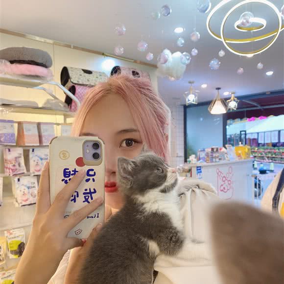 友家宠物店:深圳市龙华区观澜附近