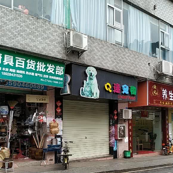 Q迷宠物:深圳市龙华区观澜附近