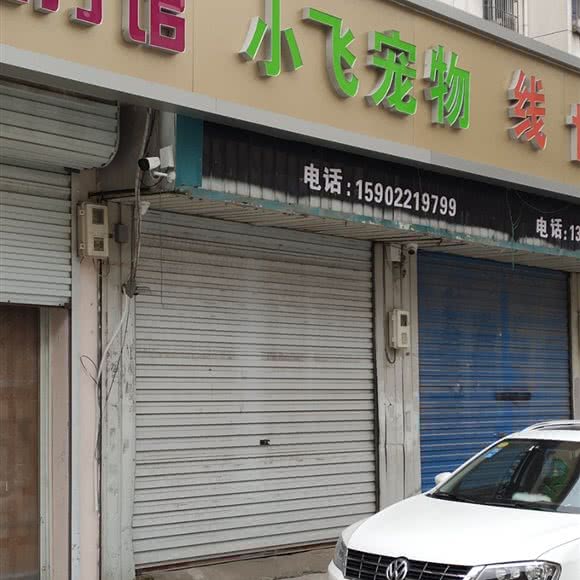 小飞宠物:天津城区宝坻区宝坻区附近