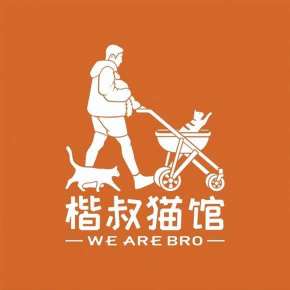 楷叔豹猫稀有色英短猫舍:深圳市龙华区观澜附近