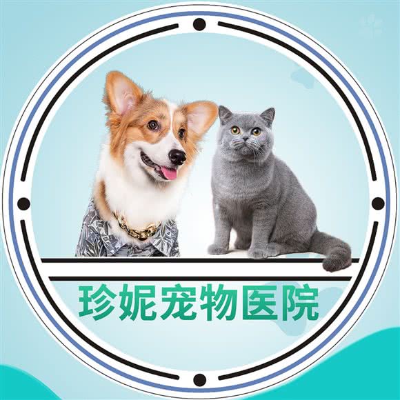 珍妮宠物医院(招商观园分院):深圳市龙华区观澜附近