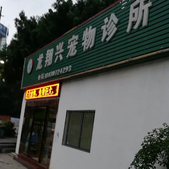 土瓜湾宠物医院:深圳市龙华区观澜附近