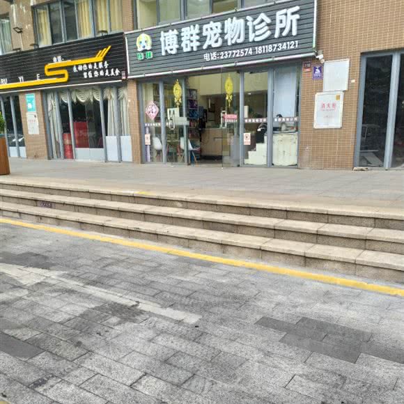 博群宠物诊所:深圳市龙华区观澜附近