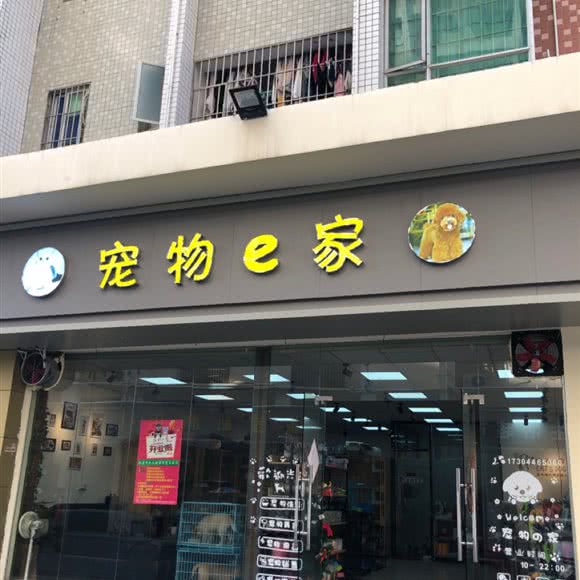 宠物e家:深圳市龙华区龙华富士康附近