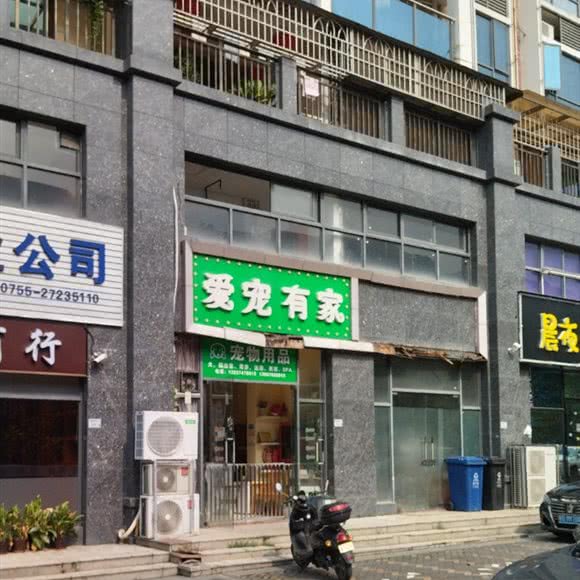 爱宠有家:深圳市龙华区龙华富士康附近