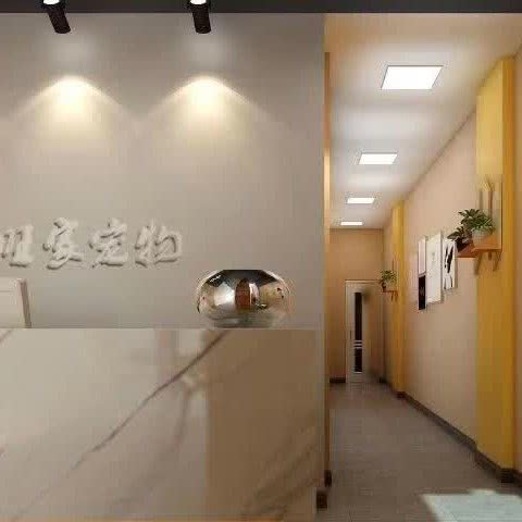 旺家宠物:深圳市龙华区龙华富士康附近