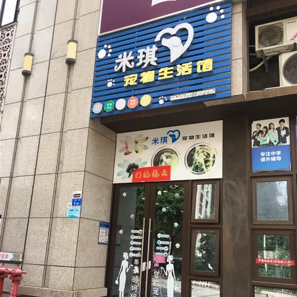 米琪宠物生活馆:深圳市坪山区坪山高铁站附近