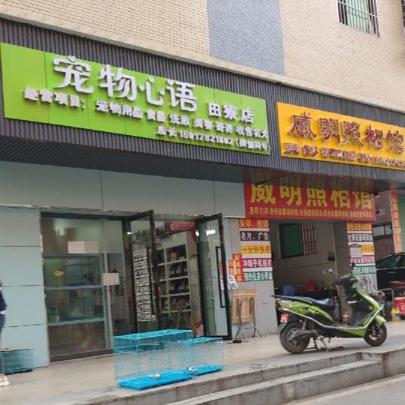 宠物心语(田寮店):深圳市光明区田寮/长圳附近