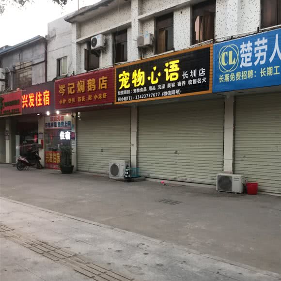 宠物心语(长圳店):深圳市光明区田寮/长圳附近