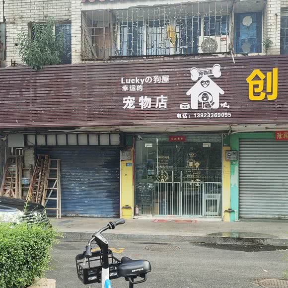 Lucky的猴子屋宠物店:珠海市香洲区香洲汽车总站附近