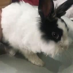 龙猫乐园:珠海市香洲区香洲汽车总站附近