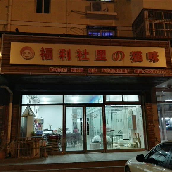 福利社里の猫咪:天津城区宝坻区宝坻区附近