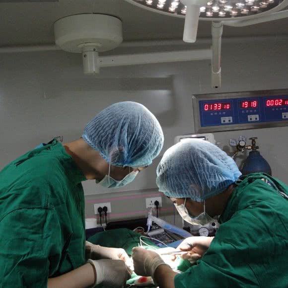 舔舔动物医院24小时宠物医院:珠海市香洲区香洲汽车总站附近