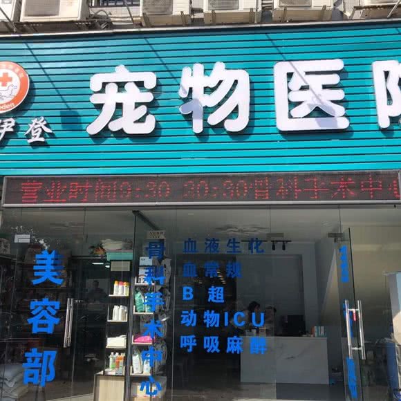 珠海市香洲区派伊登宠物医院:珠海市香洲区香洲汽车总站附近