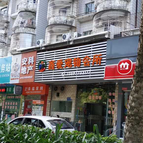 鑫爱宠物会所:珠海市香洲区吉大附近