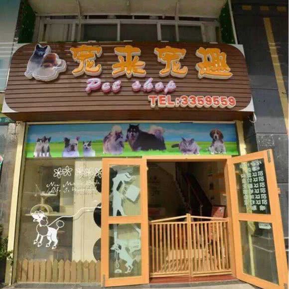 汪君&喵酱狗狗生活馆:珠海市香洲区吉大附近