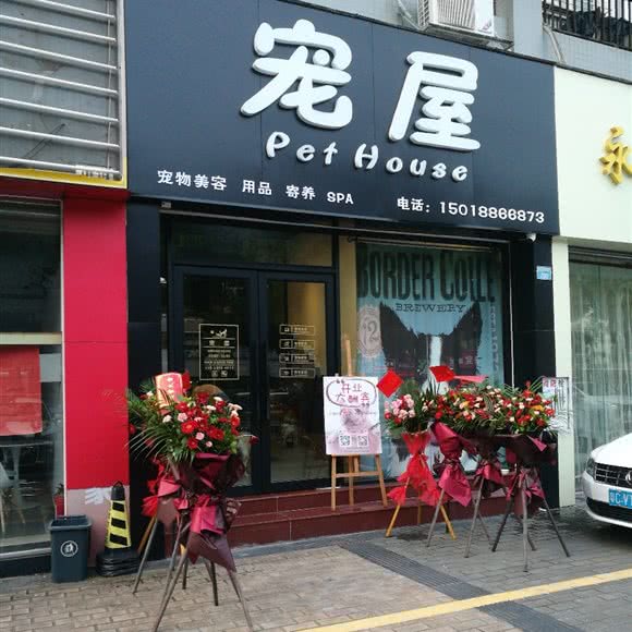 宠屋:珠海市香洲区新香洲附近