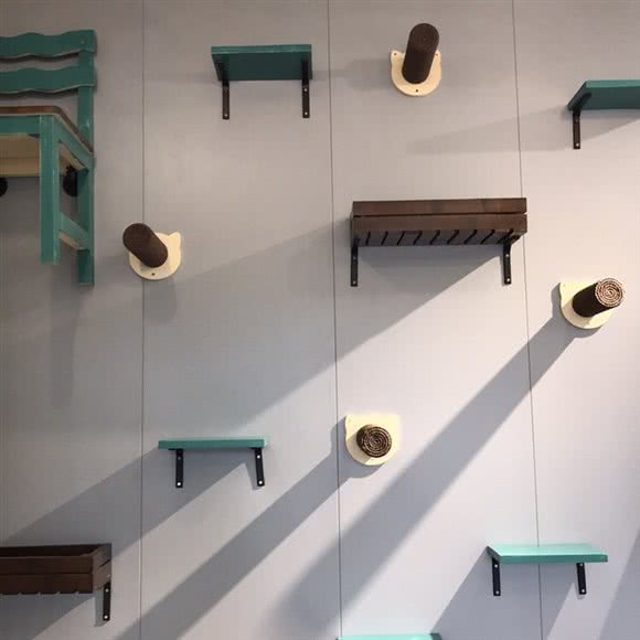 PETKIT小佩宠物(奥园广场店):珠海市香洲区新香洲附近