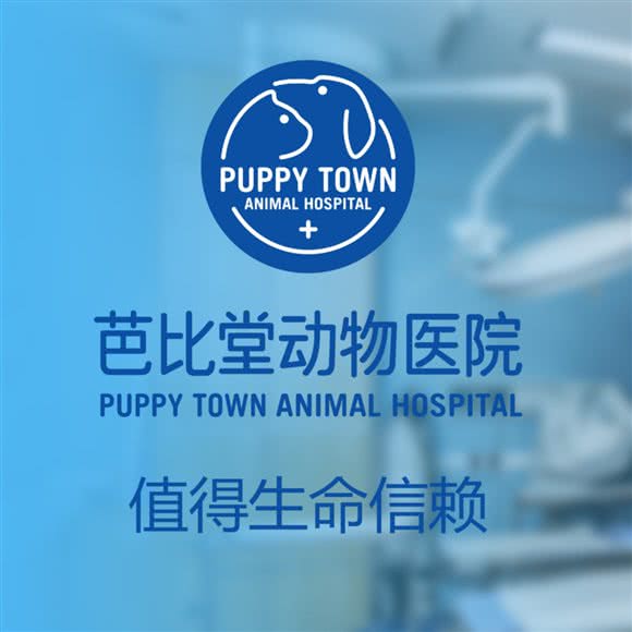 芭比堂动物医院(香洲分院-眼科中心):珠海市香洲区新香洲附近