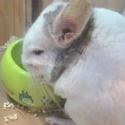 pompon(华发商都店):珠海市香洲区华发商都附近