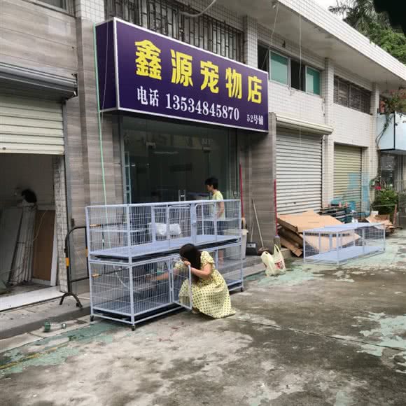 鑫源宠物店:珠海市香洲区夏湾附近