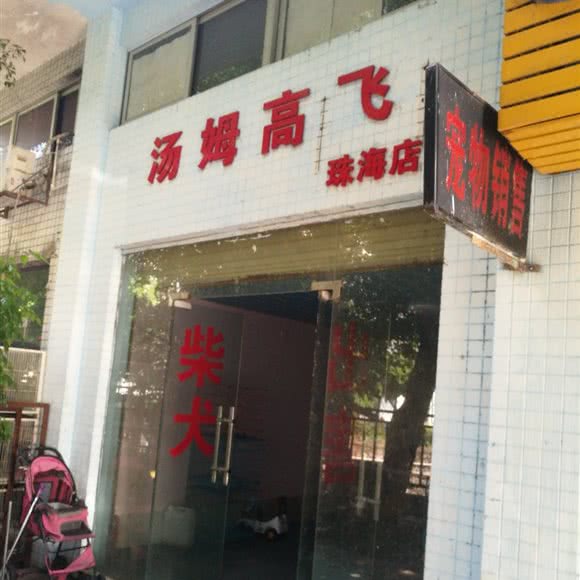汤姆高飞:珠海市香洲区夏湾附近