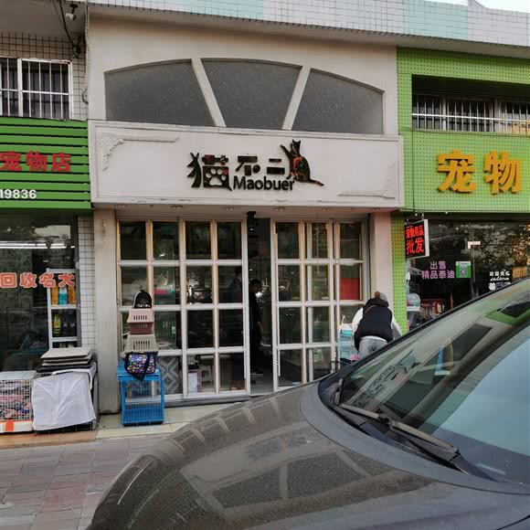 猫不二:珠海市香洲区夏湾附近