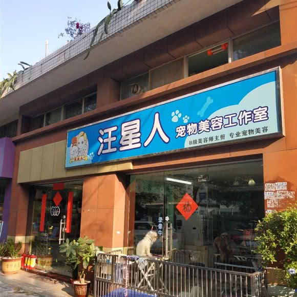 汪星人宠物美容工作室:珠海市香洲区夏湾附近