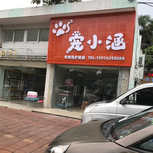 宠小涵:珠海市香洲区夏湾附近