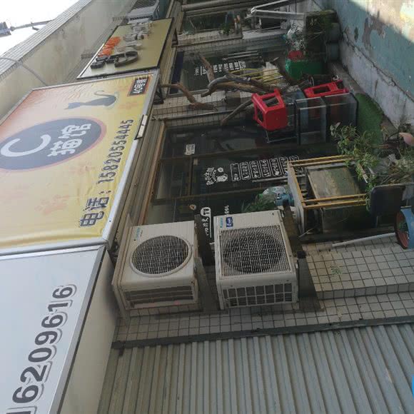 C猫馆:珠海市香洲区夏湾附近