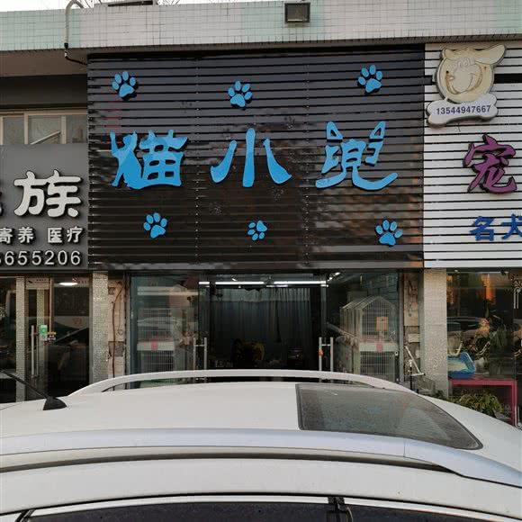 猫小兜:珠海市香洲区夏湾附近