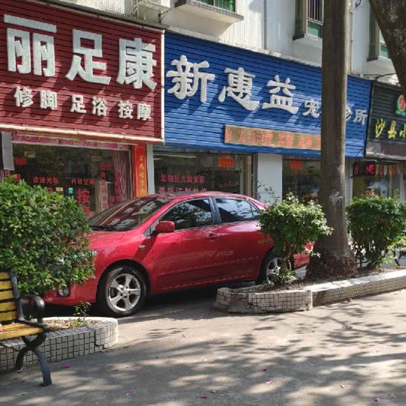 新惠益宠物诊所:珠海市香洲区夏湾附近