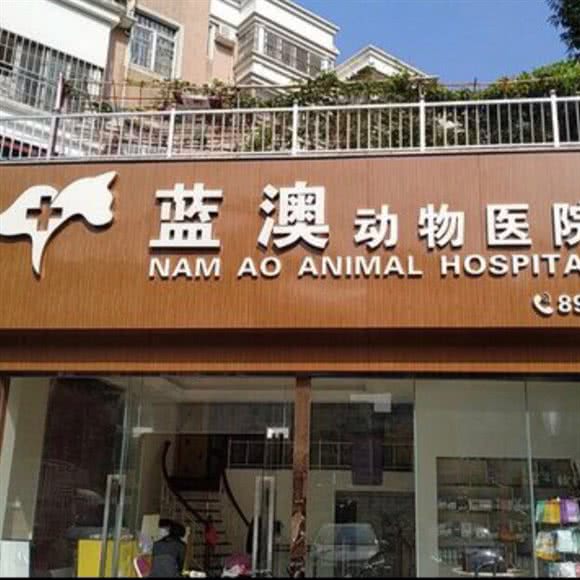 蓝澳动物医院(夏湾店):珠海市香洲区夏湾附近