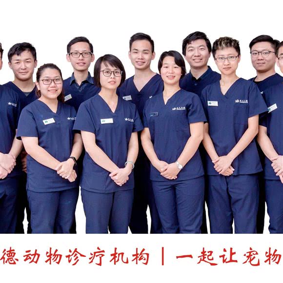 农大立德·老友狗狗(前山分院):珠海市香洲区前山附近