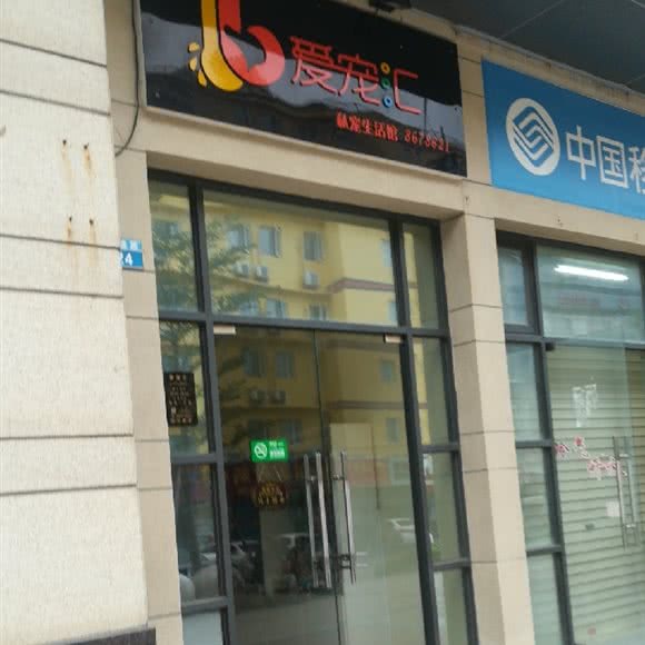 爱宠汇:珠海市香洲区湾仔附近