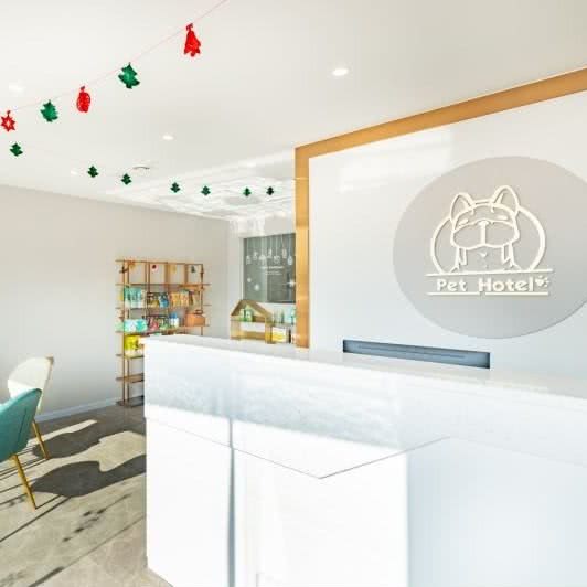 老友狗狗:珠海市香洲区南屏附近