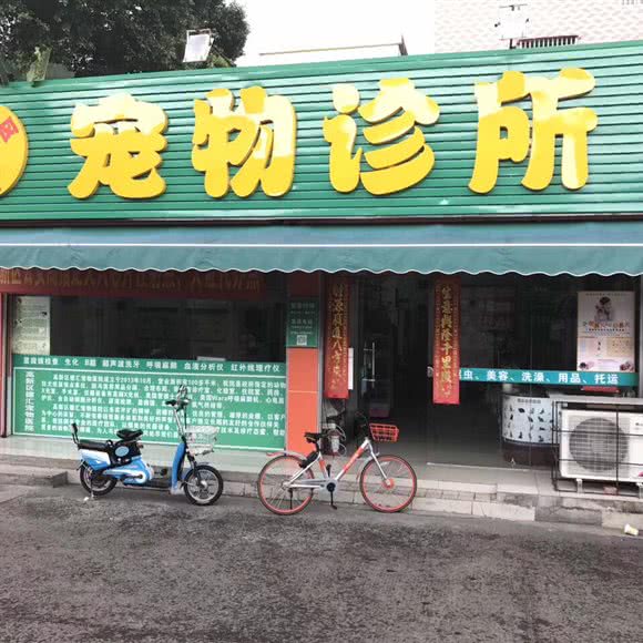 德汇宠物诊所:珠海市香洲区金鼎/珠海北站附近