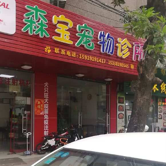 森宝宠物诊所:珠海市金湾区红旗镇附近