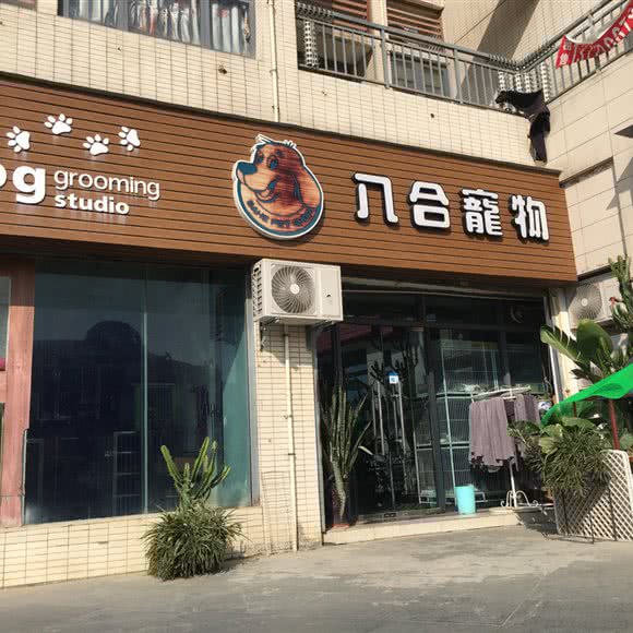 八合宠物:珠海市金湾区三灶镇附近