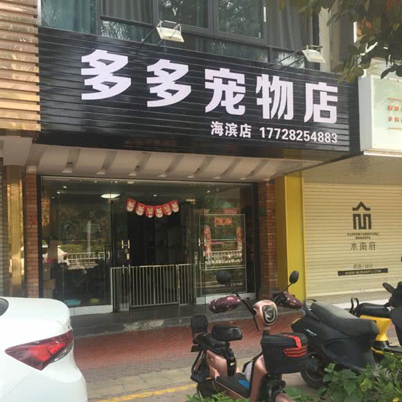 多多宠物店(海滨店):汕头市龙湖区南国/苏宁广场附近