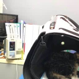 柏康宠物医院:汕头市龙湖区榕江路附近