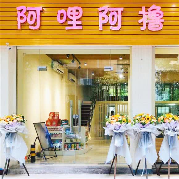 阿哩阿撸宠猫生活馆:汕头市龙湖区丹阳庄附近