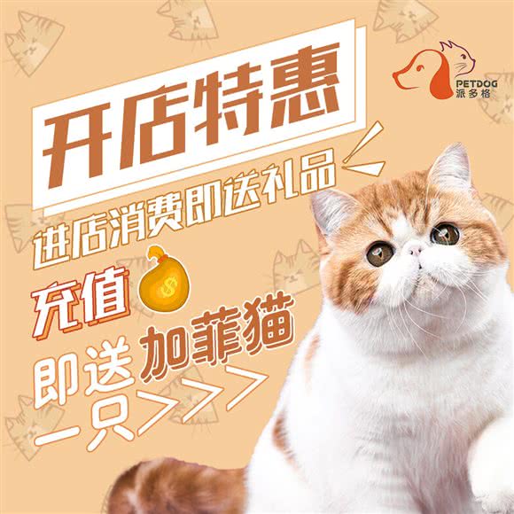 派多格宠物店:汕头市龙湖区星湖城/金鸿公路附近