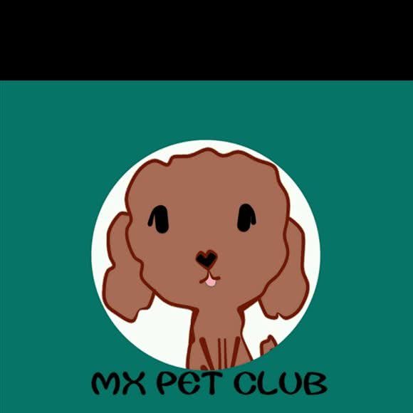 沐雪宠物会馆:天津城区滨海新区经济开发区附近